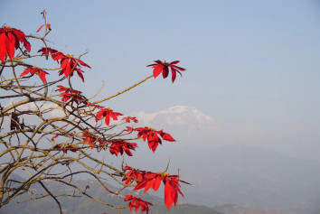 Jomsom Muktinath Trek Gallery Image 6 